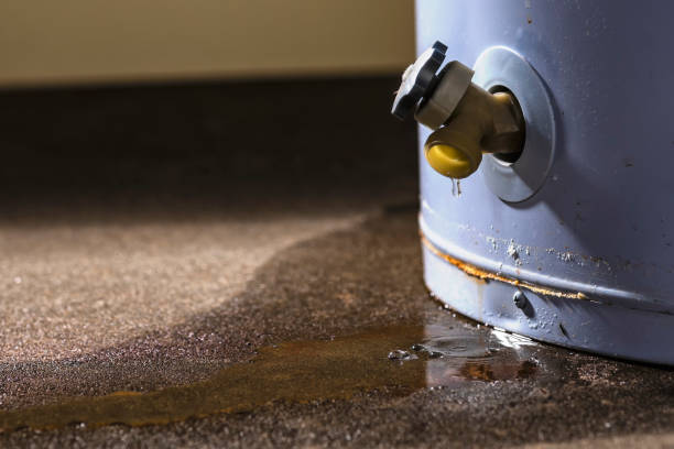 Best Emergency water damage restoration  in Woodland, WA