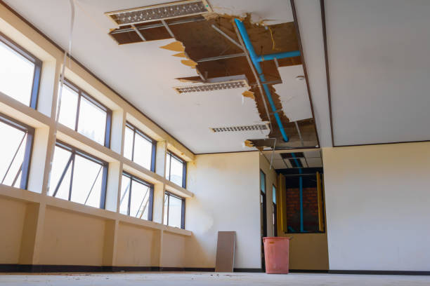 Best Water damage restoration near me  in Woodland, WA