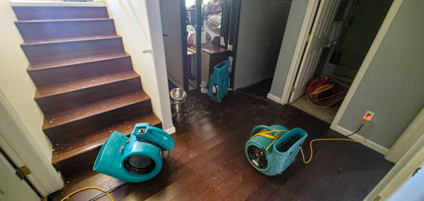 Best Water damage restoration insurance claims  in Woodland, WA