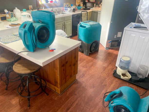Best Carpet water damage restoration  in Woodland, WA