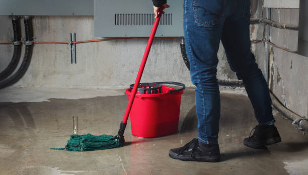 Best Flood restoration services  in Woodland, WA