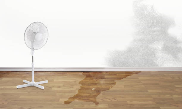 Best Commercial water damage restoration  in Woodland, WA