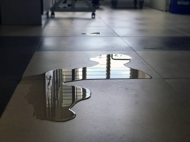 Carpet water damage restoration in Woodland, WA