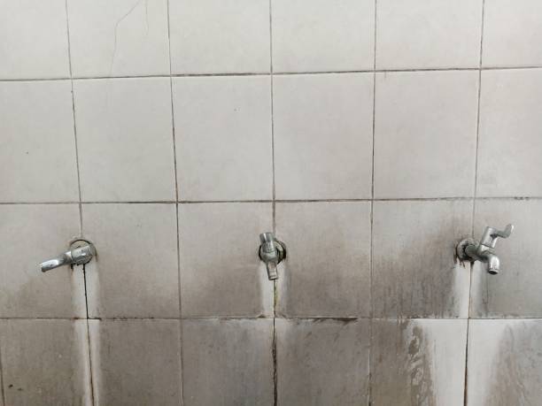 Best 24-hour water damage restoration  in Woodland, WA
