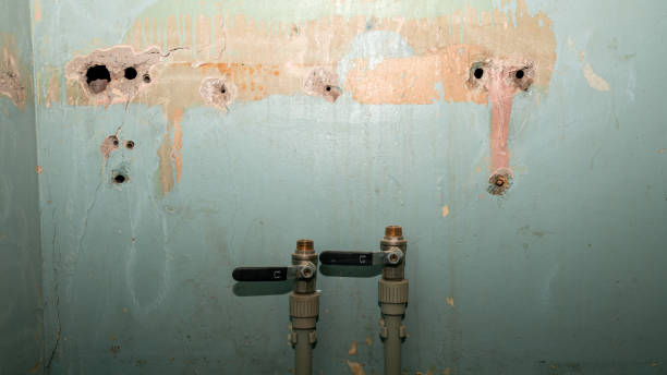 Best Local water damage restoration  in Woodland, WA