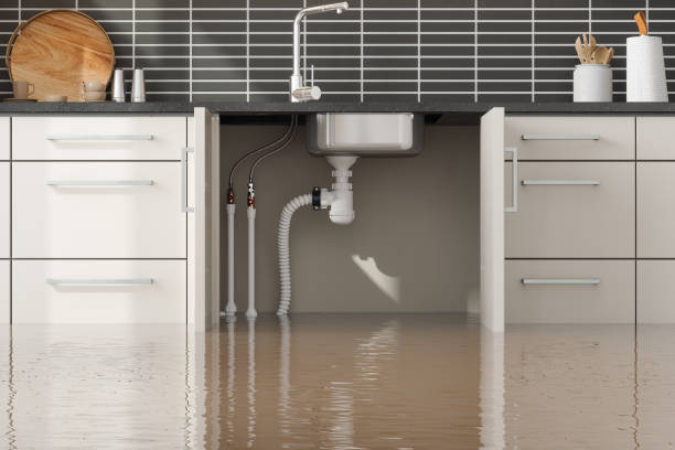 Water damage restoration insurance claims in Woodland, WA