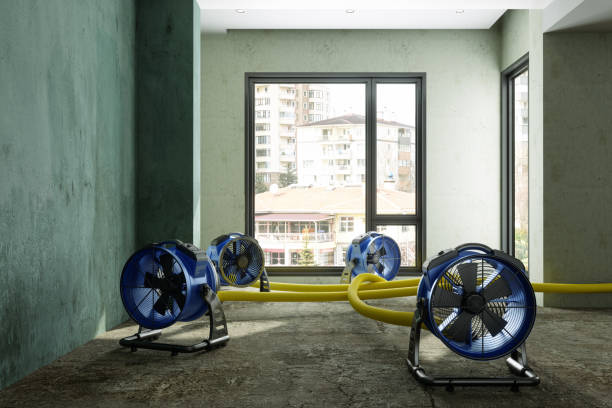 Trusted Woodland, WA Water damage restoration Experts