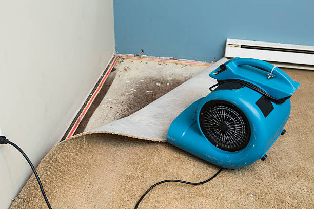 Best Flood restoration services  in Woodland, WA