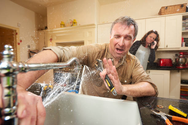 Best Basement water damage restoration  in Woodland, WA